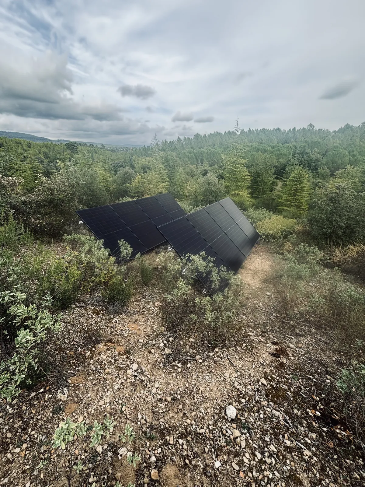 Deux rangées de panneaux photovoltaïques posées au sol en terrain de garrigue